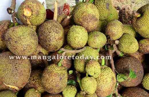 Jackfruit 